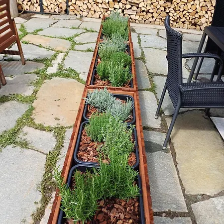 A Due Passi Piste Da Sci 度假居 *