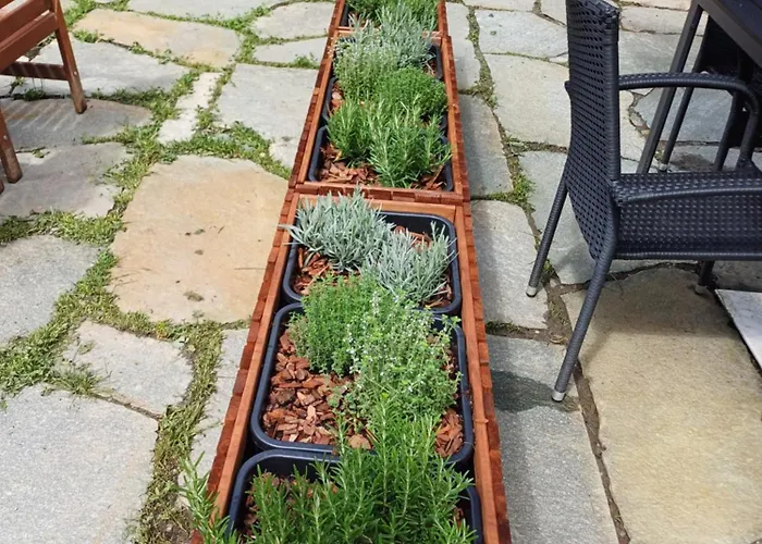 A Due Passi Piste Da Sci Дом отдыха *